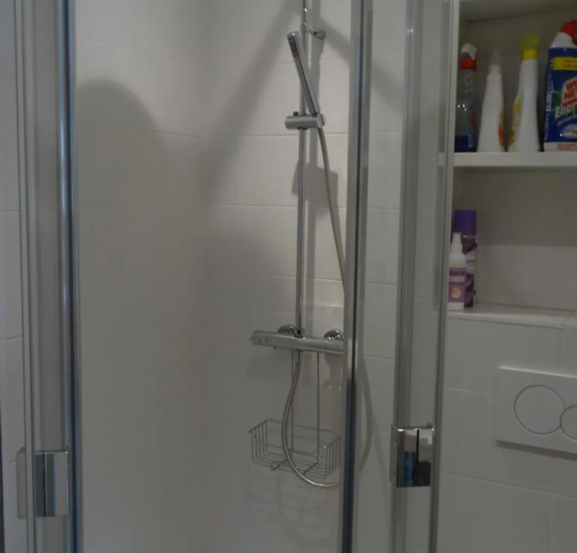 Le Tavaillon Apartment Le Grand-Bornand